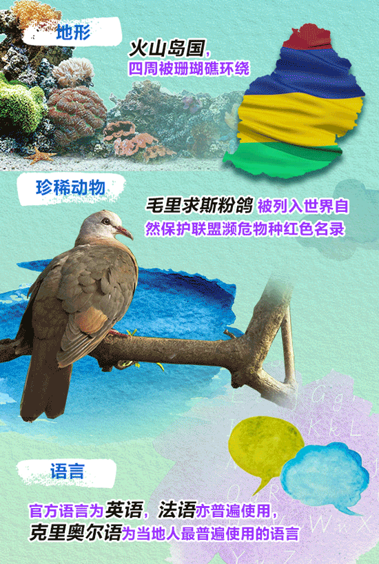 习主席到访的这个国家,中国春节是法定假日-广