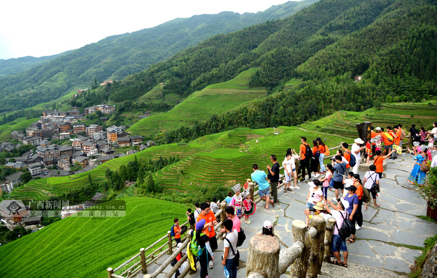 高清龙脊梯田迎旅游旺季中外游客饱览盛夏美景68