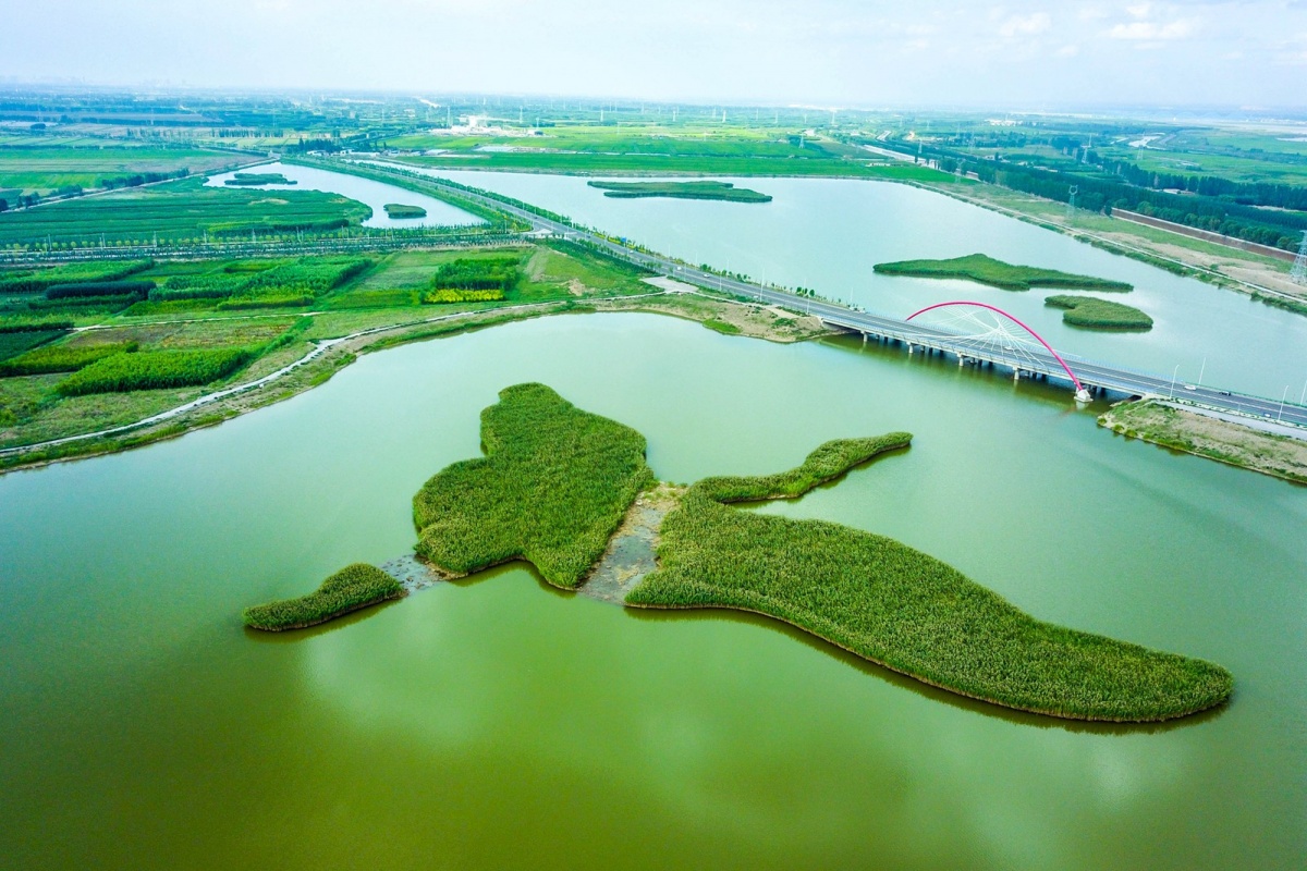 DJI_0318.jpg