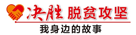 陶树记:从贫困户到“领头羊”