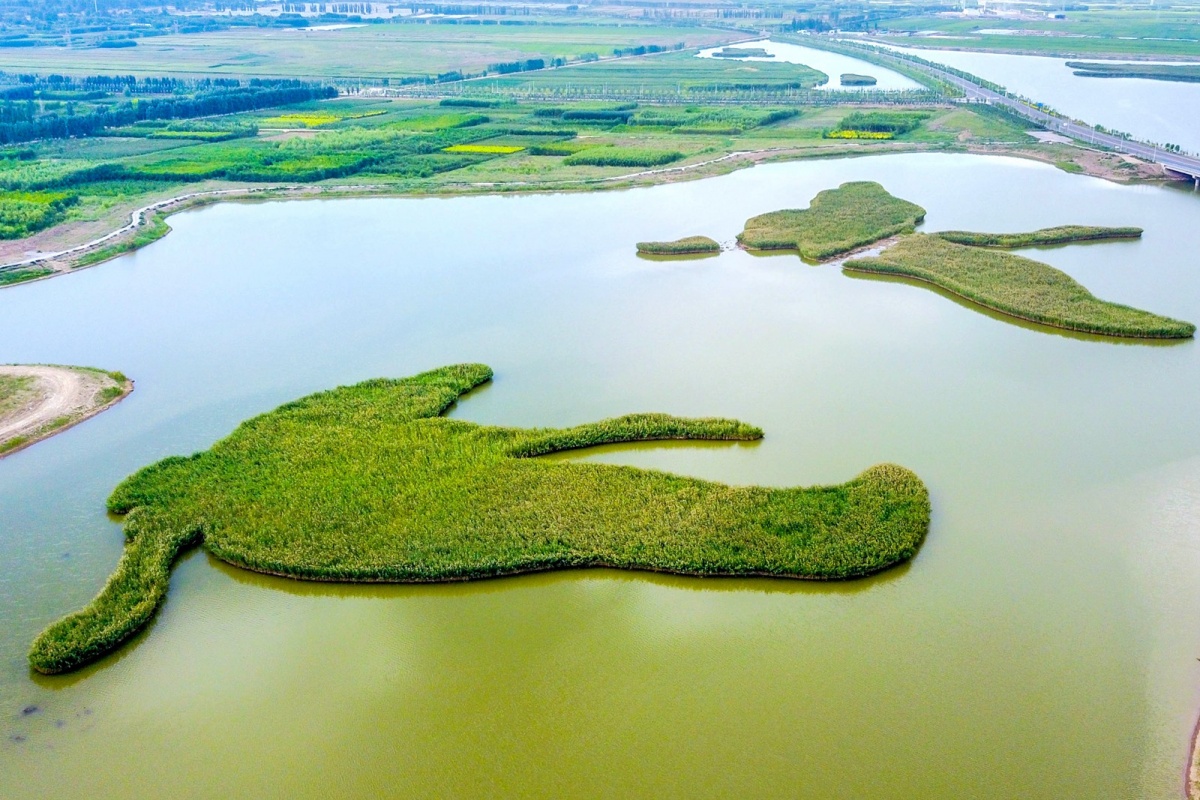 DJI_0332.jpg