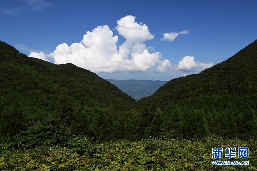 这是在重庆市武隆区双河镇拍摄的美景(8月10日摄.