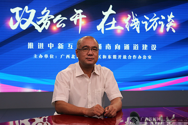 自治区北部湾办:推进中新互联互通南向通道建设
