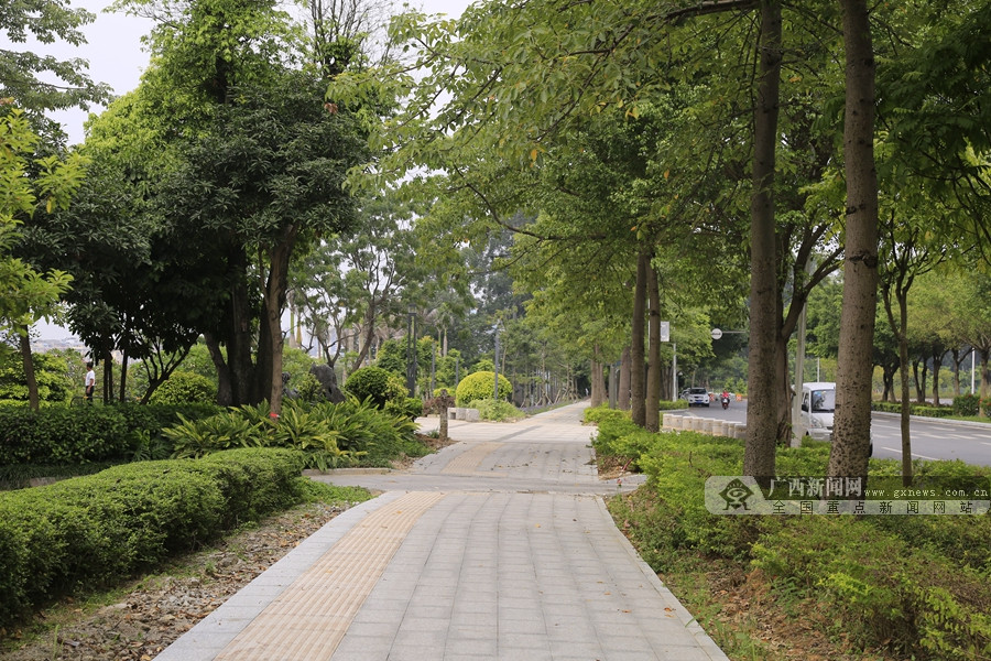 重新铺装后的人行道路面平整,景观绿化丰富,道路"颜值"大大提升.
