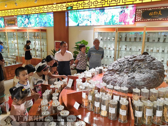 第十届中国(玉林)中医药博览会9月14日-16日举行
