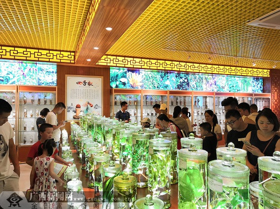 第十届中国(玉林)中医药博览会9月14日-16日举行