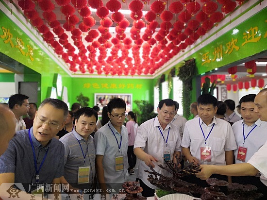 第十届中国(玉林)中医药博览会9月14日-16日举行