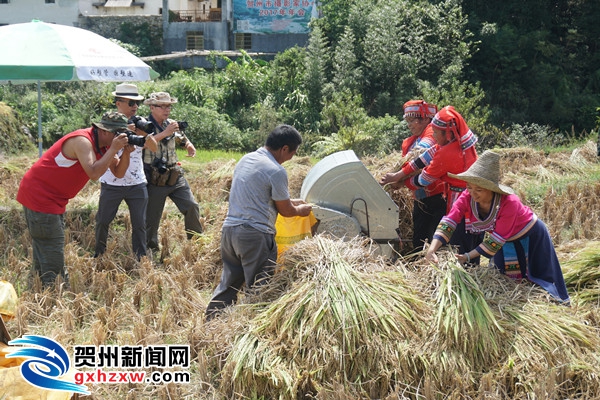 中国有多少农民