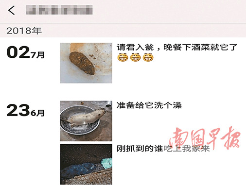 男子为“增粉”大秀捕食野味图 民警及时登门调查