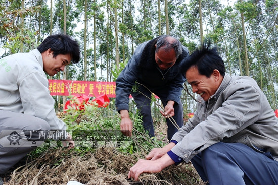 隆安县人口_南宁隆安县各镇人口一览:最多的镇仅八万多人,最少仅一万多人(2)