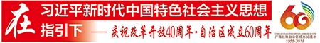 【改革开放在八桂】接续奋进踏上改革新征程