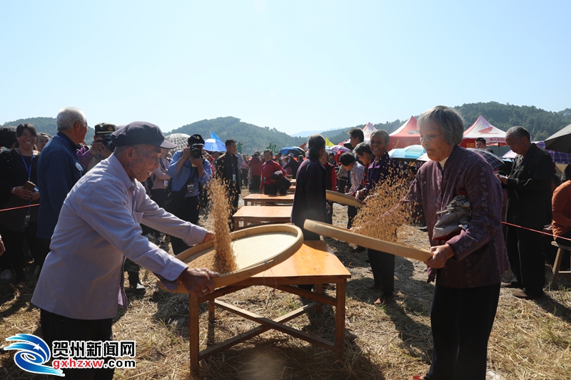 长寿老人筛米表演赛.