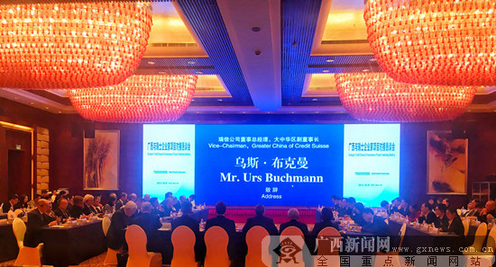 广西与瑞士企业家考察团洽谈 深化对外开放合作