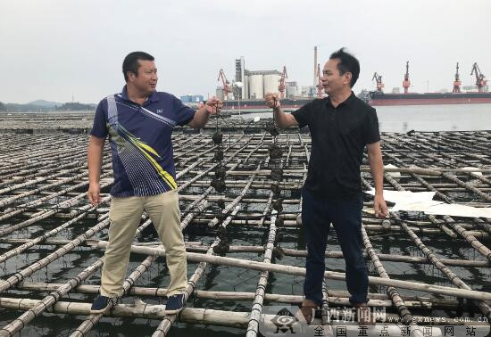 钦南区龙门港镇人口_钦州钦南区图片