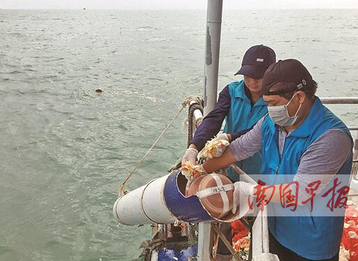 广西2018年骨灰撒海仪式举行 525名逝者魂归大海