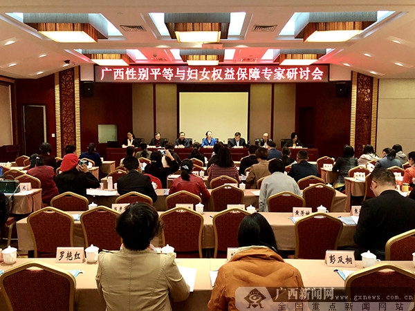 广西性别平等与妇女权益保障专家研讨会在南宁召开