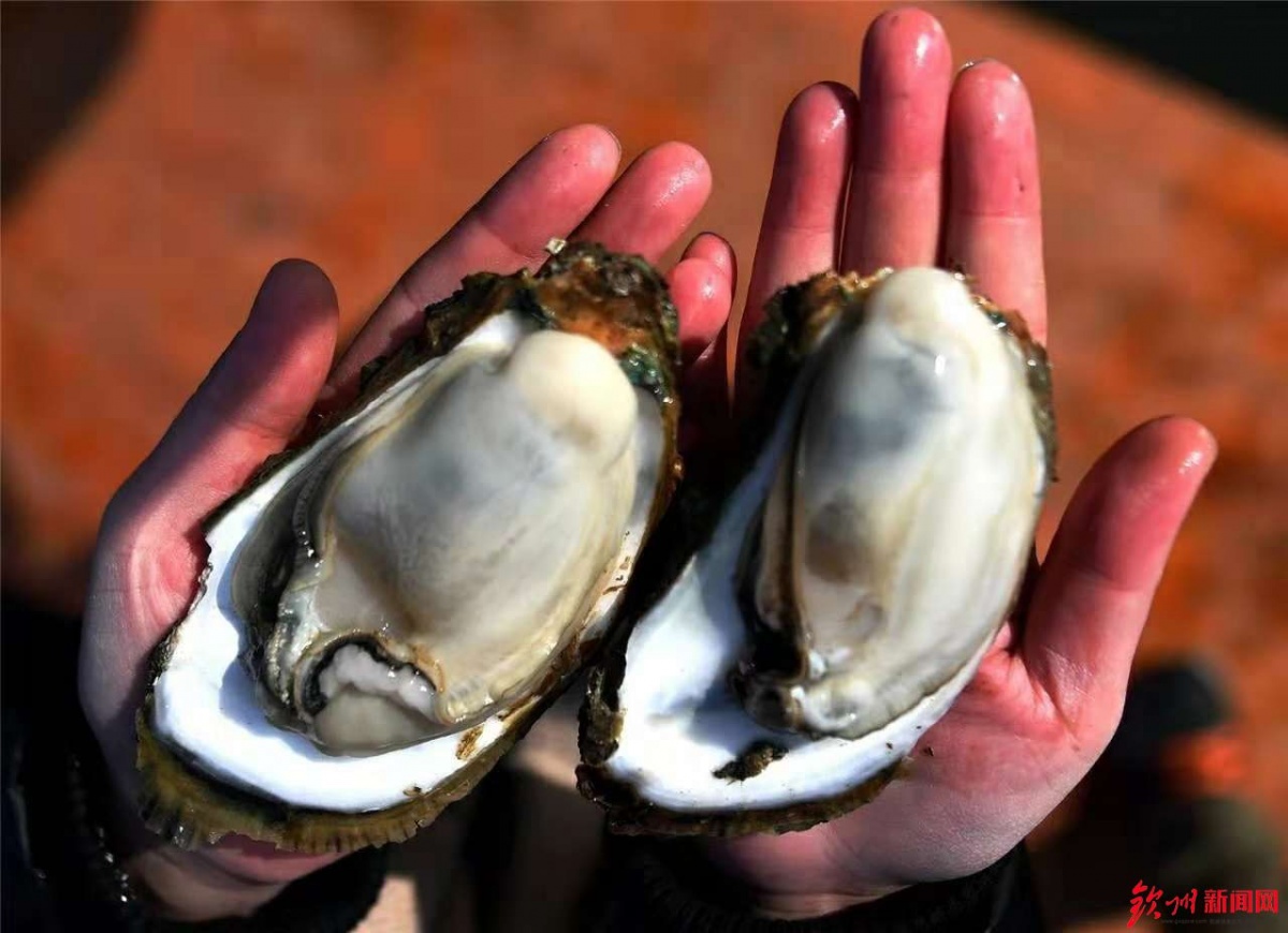 燃爆了，今天钦州这里聚集万人，游戏玩到燃爆整个沙滩！