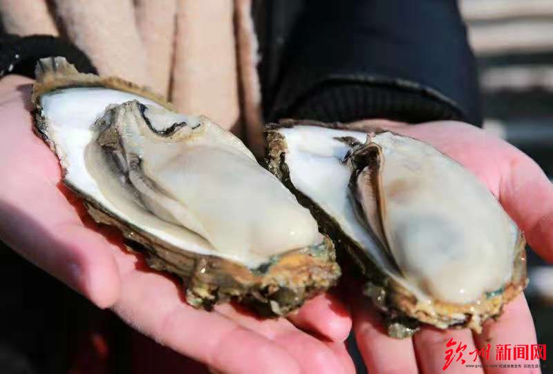 燃爆了，今天钦州这里聚集万人，游戏玩到燃爆整个沙滩！