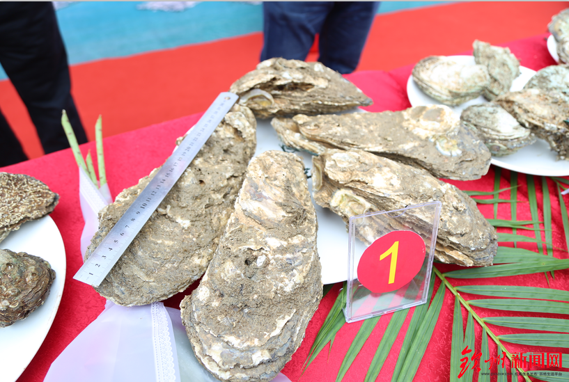 燃爆了，今天钦州这里聚集万人，游戏玩到燃爆整个沙滩！