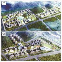 武鸣gdp_武鸣沃柑图片(2)