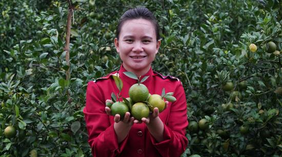 灵山县:电商扶贫成为脱贫新路径
