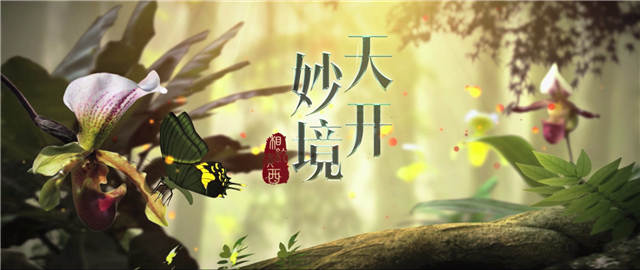 形象宣传片《相约广西》12月10日在中央广播电视台纪录频道播出