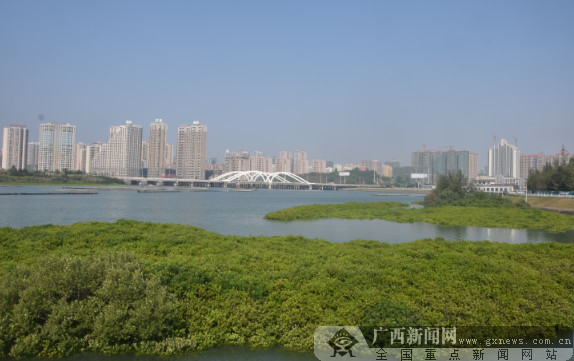[网记网友看港口]“港工联动”助推城市建设