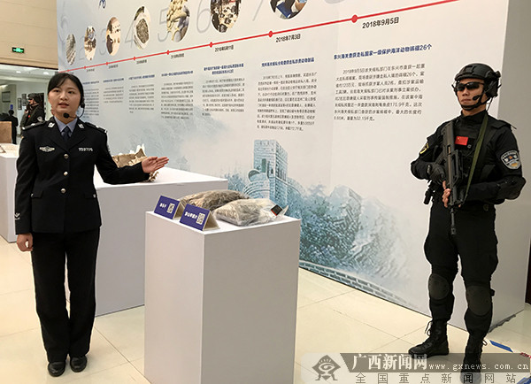 南宁海关三年查办83起濒危动植物走私案(组图)