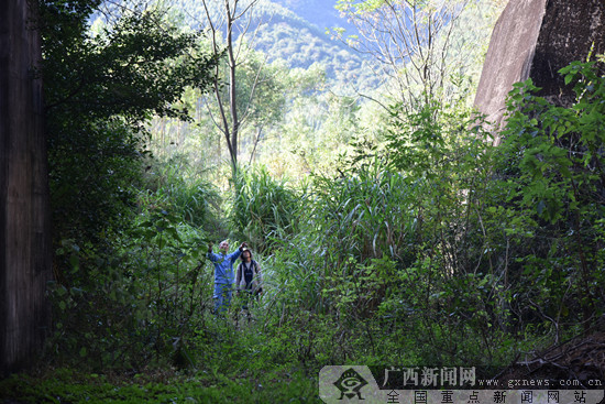 广西首座220千伏变电站的40年变迁史