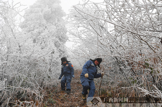 广西电网134条线路覆冰已基本消融 用电未受影响