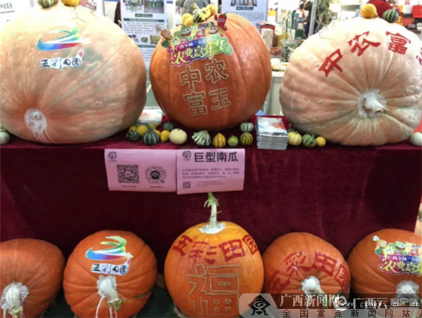 2019广西经济pk江西_2017广西新经济发展论坛在南宁成功举办(3)