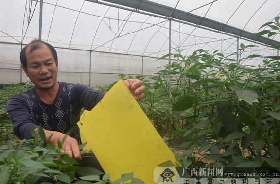 [党建带工建]小工会组织发挥致富大作用(图)