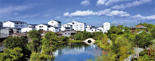 央视聚焦＂美丽南方＂ 展示广西乡村振兴与发展之路