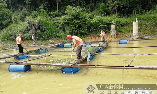 [新春走基层]大化净化集中式饮用水水源地环境