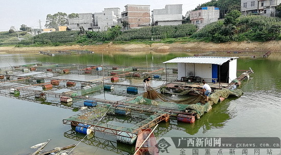 [新春走基层]大化净化集中式饮用水水源地环境