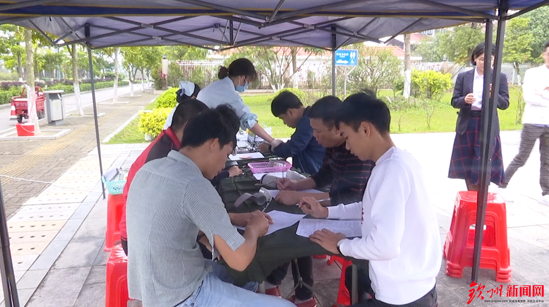 钦州市各作文开展学雷锋志愿服务v作文小学海滩单位图片