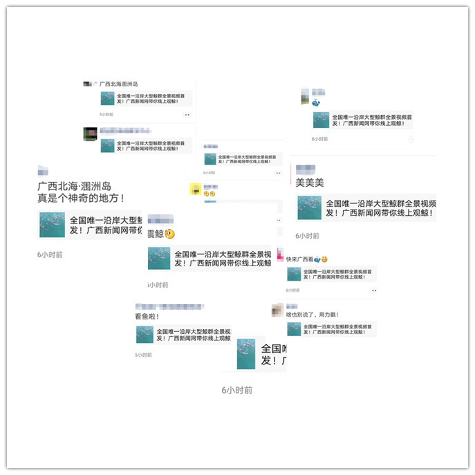 3cdcc6ace6f132b8c08426389693d944.jpg