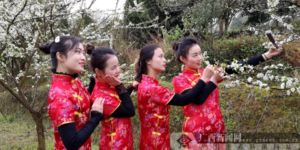 全州两河李花开 桃李无言邀你来重走红军路祭英烈