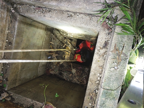 陕西旬邑：“千万工程”的千万家福祉