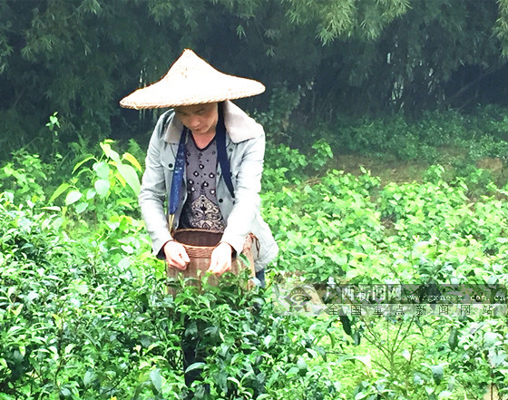 贺巴高速(钟昭段)力争国庆前通车