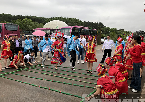 采访团成员体验壮族竹竿舞.广西新闻网记者 宋瑶 摄