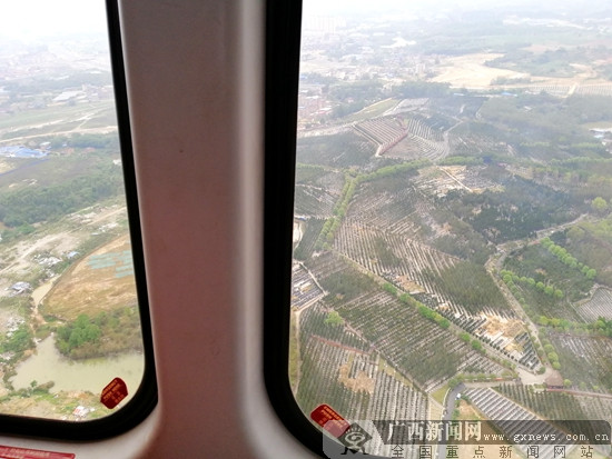 南宁“警鹰”翱翔 守护邕城假期平安（图）