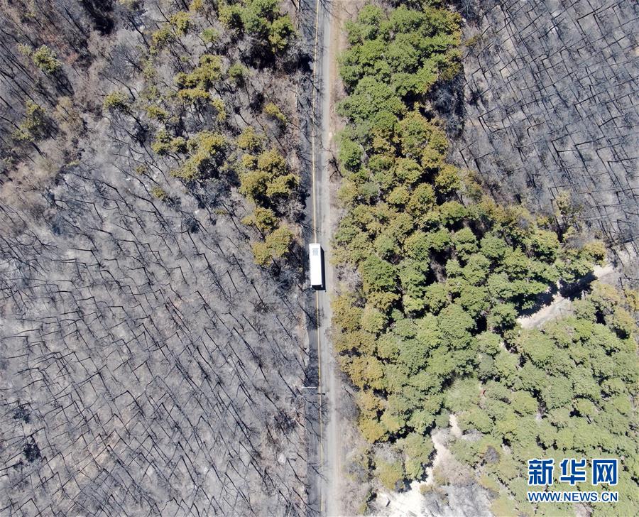 沈阳棋盘山山火现场明火基本扑灭，火情可控