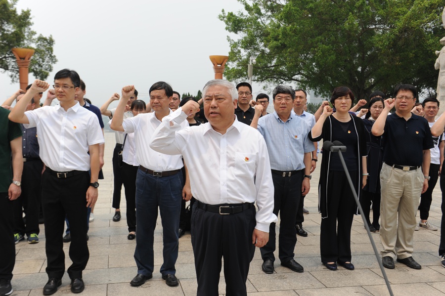 中央扫黑除恶第17督导组赴百色开展主题党日活动
