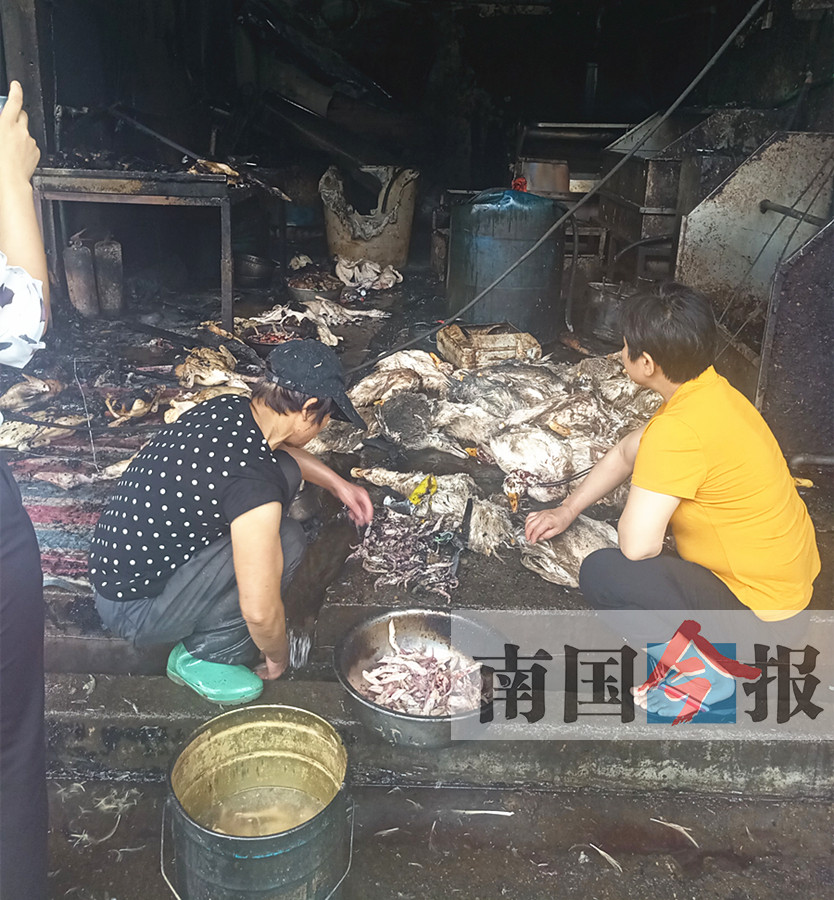 柳州突发大火浓烟形成"蘑菇云" 数千鸭子变"烧鸭"