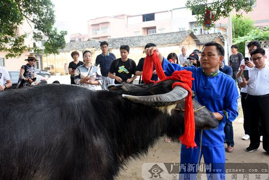 2019年露圩“圩逢节”将于5月12日举行