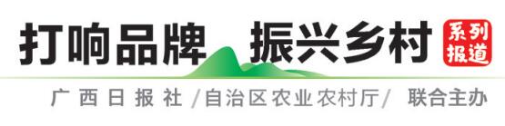 广西特色农产品品牌故事桂林篇:"东方神果"香四海