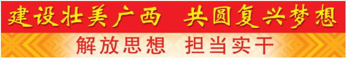 广西投资集团:聚焦短板弱项 “产融投”协同发展