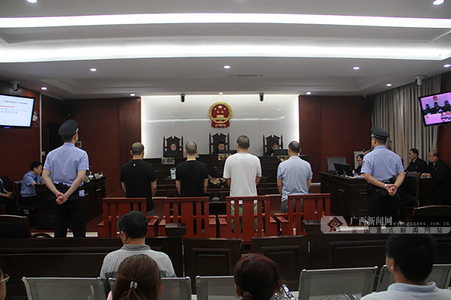 钦州市首例刑事附带民事公益诉讼案件一审开庭