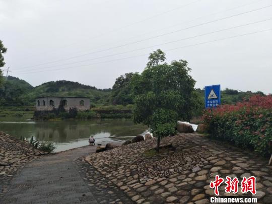 浙江衢州一女子失足落水 热心父子合力营救